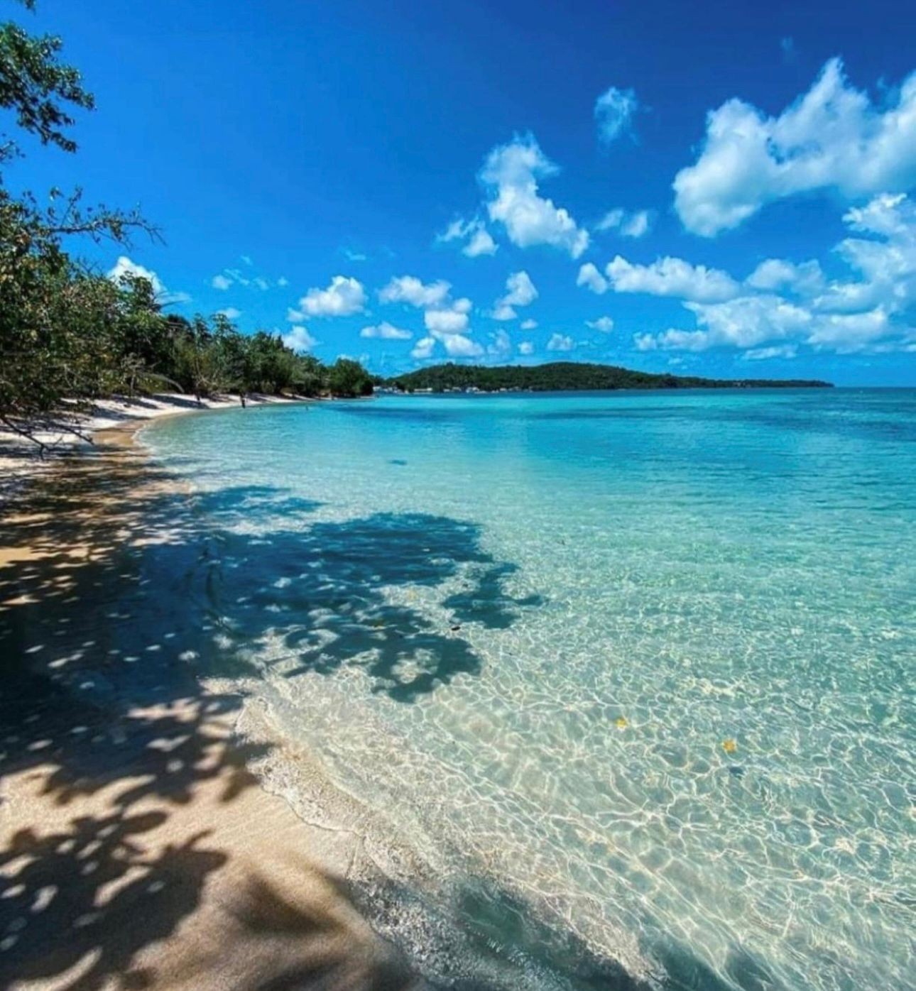 Playa buyé ( Cabo rojo )