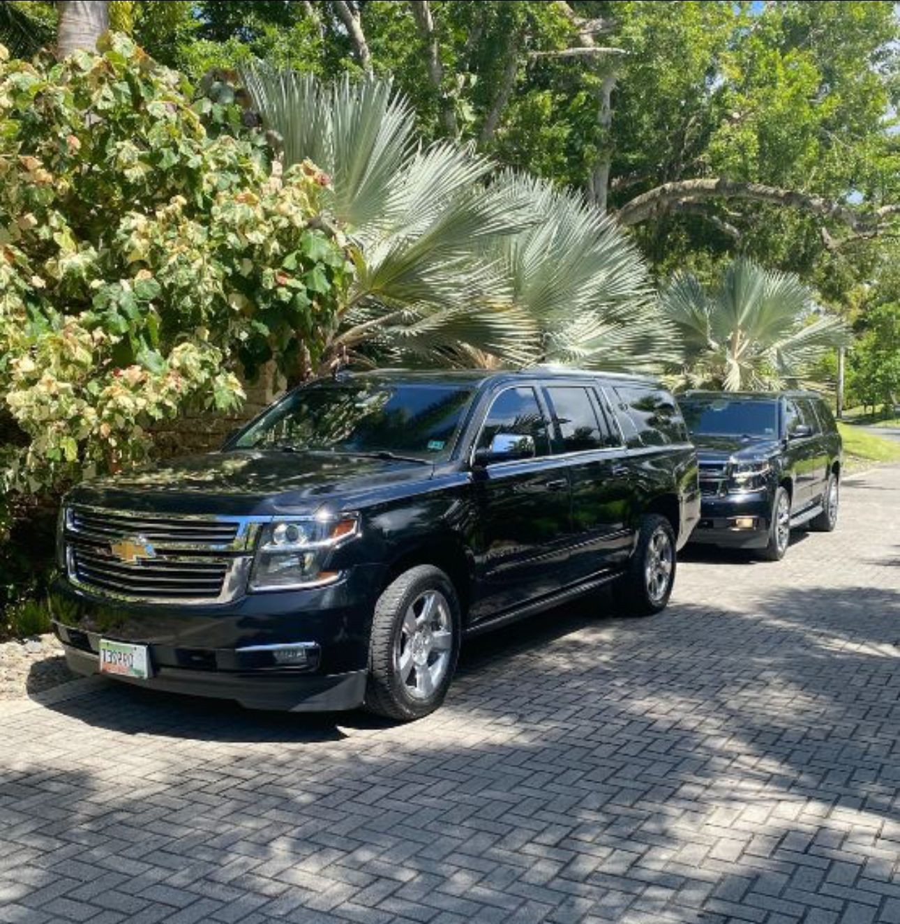 Luxury on ground Privet transportation 