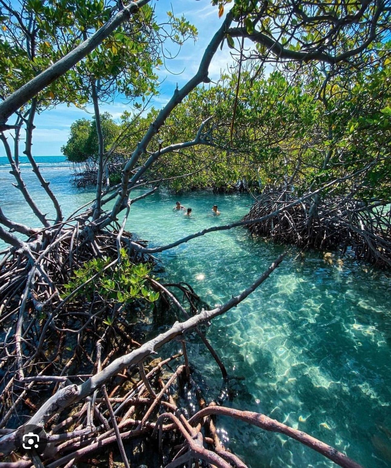 Cayo parguera ( lajas ) 